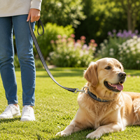 Laisse d'entraînement pour chien en nylon moderne, réfléchissante et durable, 20 pieds de long, imperméable pour activités de plein air et jeux sur la plage - Yilin Pet