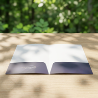Dossier de présentation de luxe personnalisé, écologique, format A4, avec logo UV sélectif, anti-rayures, pelliculage mat, pour brochure artistique
