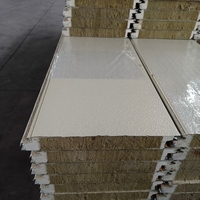 Panneau isolant durable de laine de roche de vente directe d'usine pour le panneau "sandwich" de construction de structure en acier