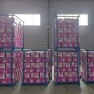 Ajo Chino Fresco, Nueva Cosecha, 4.5cm - 6.5cm, Cartón, Ajo Blanco Puro, Grado Alimenticio, 1 Año de Duración, Certificado - Product Image 1