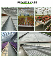 Fabricant professionnel de bancs hydroponiques à flux et reflux fixes pour serres, légumes, fleurs et semis