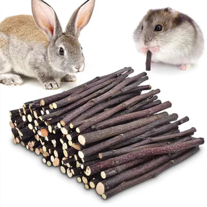 Lot de 10/15/20 pièces pour hamster <span class=keywords><strong>lapin</strong></span>, ponçage des dents, bâton de pommier, minéraux molaires, jouets en bois, pour chinchilla hamster, accessoires pour animaux de compagnie - Product Image 1