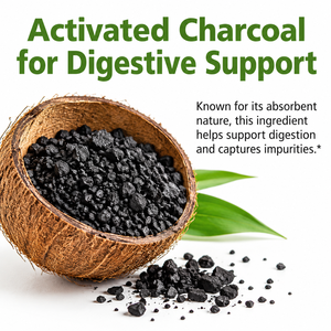 Bandes buccales au charbon actif à marque privée OEM 260 mg saveur menthe – Soutien au bien-être digestif, équilibre intestinal, supplément détox - Product Image 5