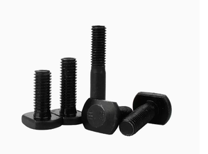 Boulons en T en acier inoxydable SS304 SS316 M6 M8 M12 M14 Passication DIN186 DIN188 - Product Image 5