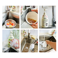 Vente d'usine lait thé parfum vaisselle liquide de lavage légumes fruits détergent liquide de cuisine vaisselle liquide de lavage