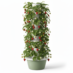 Sistemas de Cultivo Hidropónico de Fresas de 7 Niveles y 28 Orificios, Cultivo Vertical en Venta - Product Image 1