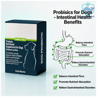 VetOne Advita Probiotic Powder, complément nutritionnel quotidien pour chiens adultes, maintient le système immunitaire, l'appétit et la digestion, durée de conservation de 2 ans