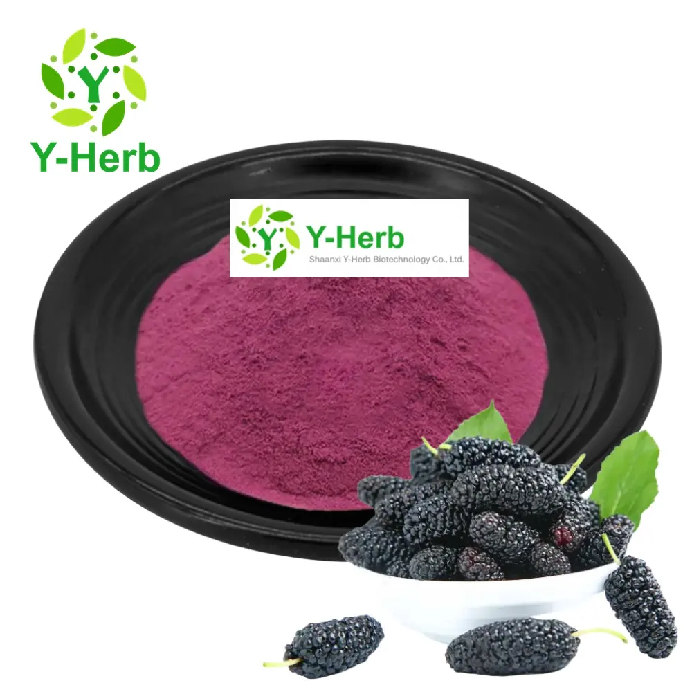 100% Pure Instant Bulk Mulberry Juice Concentrate Powder 10:1 Mulberry Juice Powder