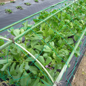 Vườn Bee Thiết Bị Nông Nghiệp <span class=keywords><strong>Staking</strong></span> Nhà Máy Leo Núi Hỗ Trợ Hình Chữ Nhật Lưới Cho Dưa Chuột Đậu Cà Chua Rau - Product Image 3