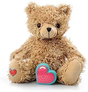 Custom Recordable Stuffed Animals 20 Sec Heart Voice Recorder For Ultrasounds And Sweet Messages Playback Perfect Gender Reveal