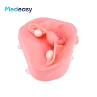 Modelo de Entrenamiento Pélvico Medeasy Factory para Simulador de Cirugía Ginecológica Laparoscópica con Entorno Pélvico de Hinchazón de Fibroides