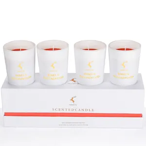 Coconut Mango Bliss Aromatherapy Soy Wax Candles Gift