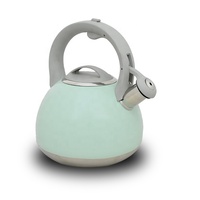 Grands théières en acier inoxydable de grande qualité, multicolores, logo personnalisé en gros, 2,0 L/2,5 L/3 L, écologiques, compatibles avec l'induction au gaz