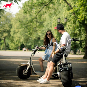 1500W Mini <span class=keywords><strong>bicicleta</strong></span> eléctrica eléctrico <span class=keywords><strong>de</strong></span> la motocicleta para adultos aprobación Ce con la pantalla LED - Product Image 5