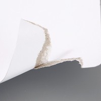 Carton recyclable personnalisé 250g A4 gris, enduit de kaolinite, simple face, pour vêtements et chaussures, avec impression numérique
