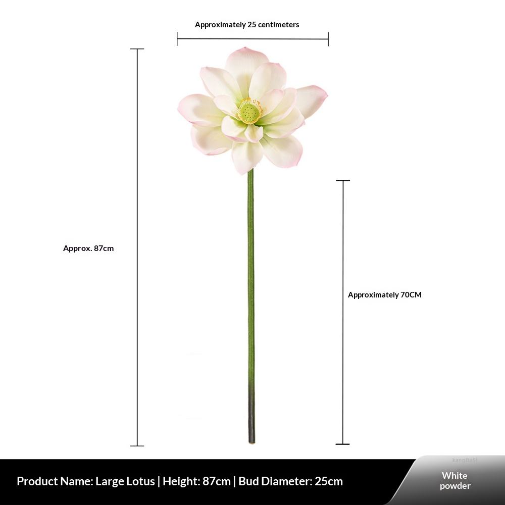 Lotus à colle grand format, rose et blanc.