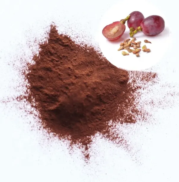 USA Warehouse Stocks Supply Manufacturers Sale Grape Seed Extract Proanthocyanidins 95%