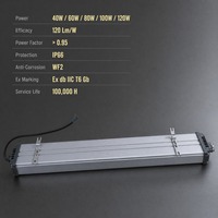 Luminaire antidéflagrant homologué UL ATEX IP66 40W 60W 80W 100W, éclairage linéaire LED antidéflagrant Zone 2 en alliage d'aluminium