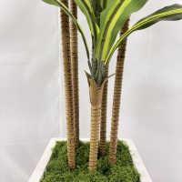 Plante artificielle Dracaena Fragrans de 180 cm, feuilles de sabre variegées, pour la décoration de café, boutique, hôtel, hall d'entrée, événements