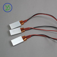 35*21mm 12V 24V 220V Élément Chauffant PTC Chauffe Thermostat Plaque Chauffante PTC Chauffe Avec Coque En Aluminium Chaleur Plaque De Résistance