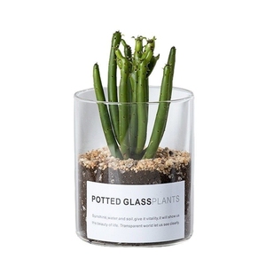 Vaso in Vetro Trasparente Riutilizzabile <span class=keywords><strong>con</strong></span> Bocca Rotonda e Tubo Dritto per Piante Grasse e <span class=keywords><strong>Cactus</strong></span>, Vaso Vuoto in Vetro Rotondo - Product Image 2