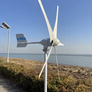 Poland Warehouse Alternative Energie sparer für den Heimgebrauch mit sechs Flügeln 1500W 12V 24V Horizontaler Windturbinen generator