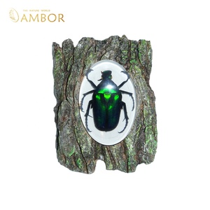 Aimant de réfrigérateur en résine à texture bois simulée, décoratif en forme de scarabée, fait main, cadeau sur le thème de la nature pour les passionnés d'insectes - Product Image 3
