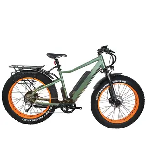 전기 유틸리티 자전거 500W Bafang 후면 모터 지방 타이어 Ebike 도시 도로 전기 자전거