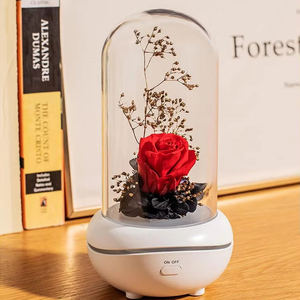 Ánh Sáng Thấp Tiếng Ồn Nhỏ Tinh Dầu Hương Thơm Hương Thơm Khuếch Tán Có Thể Sạc Lại Bảo Quản Hoa Hương Liệu Đèn Với Đêm Đầy Màu Sắc - Product Image 2