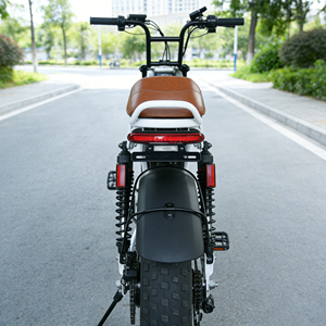 Bicicleta Eléctrica Todoterreno de 500w 48V, Venta Caliente de Fábrica China, Bicicleta Eléctrica de Montaña de 2 Plazas con Neumáticos Anchos - Product Image 5