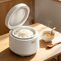 Cuisinière à riz de haute qualité, multicuiseur, 2L, mini-cuisinières à riz électriques pour un usage domestique