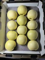 Bieden China Vers Fruit Peer En Appel Ya Perentuin Met Goede Kwaliteit En Lage Prijs Van Verse Peer