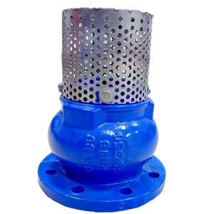 Filtro de Agua de Hierro Dúctil <span class=keywords><strong>Nan</strong></span> <span class=keywords><strong>Hu</strong></span> Tipo Y con Malla de Acero Inoxidable, Filtro Hidráulico de Uso General DN50~DN500, 24 Meses de Garantía - Product Image 4