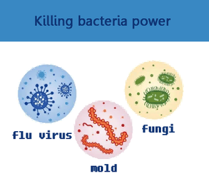 Venta Caliente Línea de Producción de Esterilizador de Plasma de Peróxido de Hidrógeno de 128 Litros Precio de Compra - Product Image 5