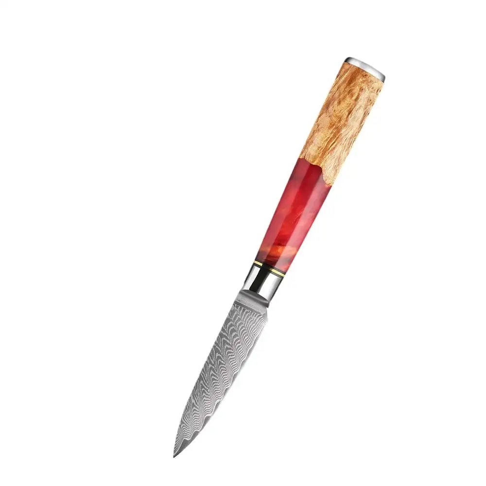 XITUO 3.5 Inch Paring knife Sharp Edge Damascus Steel Chef Knife Ergonomic Hander 67-Layer Forged Blade Kitchen Knife