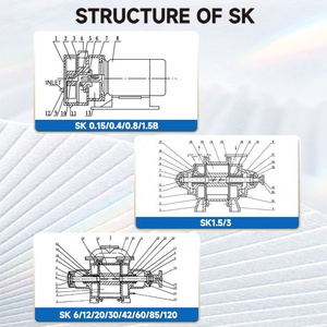 Bomba de Vacío de Anillo Líquido de Alta Resistencia Forlongvity Serie <span class=keywords><strong>SK</strong></span> 75HP, Maneja Gases Explosivos Húmedos, Lubricación a Base de Agua, Infusión de Resina - Product Image 5
