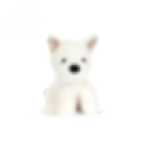 Jelly Cats – jouet en peluche pour chat et chien, poupée en coton PP doux, cadeau d'anniversaire pour enfants, décoration de maison, joli ornement de chambre pour garçons et filles