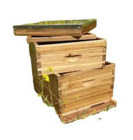 Heißer Verkauf: 10-Waben-Bienenkästen aus Holz mit 2/3 Schichten Wachsbeschichtung – Kompletter Langstroth-Bienenstock