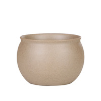 Pot de fleur en céramique émaillée de grand diamètre poterie grossière au design moderne avec plateau charnu pour jardinières de fleurs de groupe