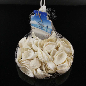 Conchas Marinas Exóticas Grandes al por Mayor, Conchas de Caracol Marinas Naturales para Decoración en <span class=keywords><strong>Venta</strong></span> - Product Image 4
