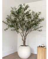 Grand Olivier Artificiel de 250CM (8FT) en Pot Rond pour Intérieur : Maison, Hôtel, Restaurant, Café