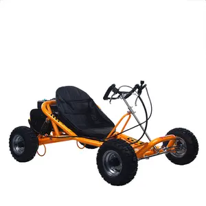 Manufacturer sell directly karts outdoor gas go kart racing 196CC buggy.OEM ,Parts upgrade welcome