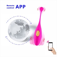 Vibrateur portable télécommandé par application, Dildo sans fil, Jouet sexuel féminin, Jouets sexuels pour adultes, Vibrateur œuf pour culotte