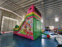 Château gonflable de bonne qualité avec toboggan gonflable à double glissière avec maison de rebond pour enfants et adultes