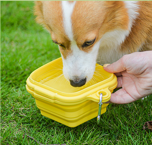 Tragbare, umweltfreundliche Silikon-Haustierschüssel für den Außenbereich, zusammenklappbare doppelte Hundeschüssel, quadratische Trink- und Futterschüssel für Katzen und Hunde - Product Image 1
