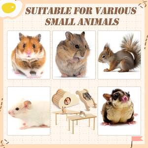 Terrario in Legno a Vista Completa con Tetto Rimovibile - Adatto per Criceti e Topi - Product Image 3