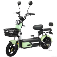 Vélo Électrique Urbain Rapide et Économique 350W, Batterie Plomb-acide 48V, Moteur Arrière, Électronique, 2 Places pour Adultes, Cadre en Acier, Freins à Disque
