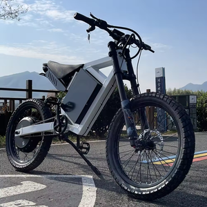 Bicicleta Eléctrica 2023 Más Vendida, Cuadro de Aluminio, Motor en la Rueda Trasera, Una Velocidad, Batería de Litio de 72V, Alcance de 90-100 km, Hidráulica - Product Image 4