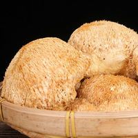 Poudre de champignon Crinière de lion naturelle de qualité alimentaire en gros, extrait végétal, polysaccharide 30%, certifié GMP