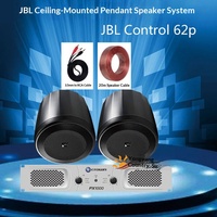 Ensemble audio de conférence filaire suspendu 30W Control62P avec haut-parleur de plafond pour musique d'ambiance - Pack complet